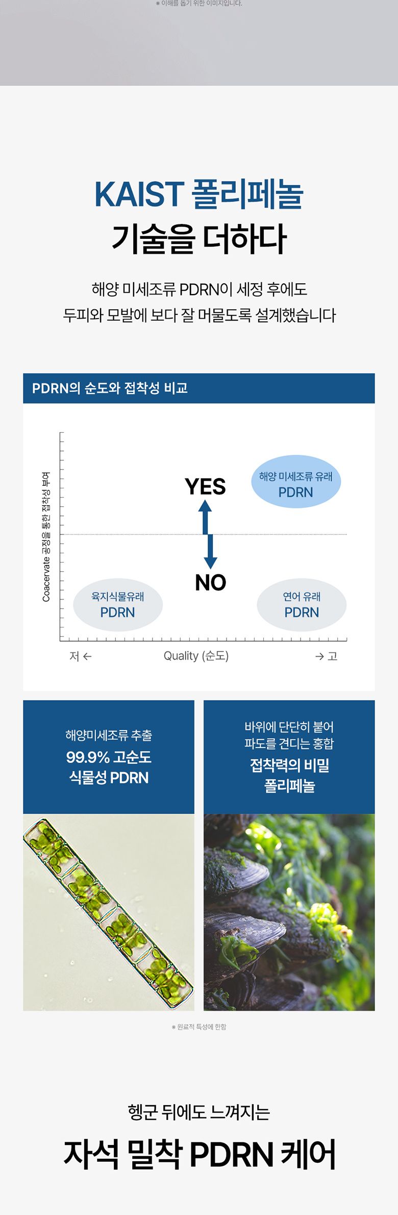 ★최쇼단독/홈쇼핑유일판매처★[최신상카이스트탈모볼륨샴푸시즌2]그래비티 PDRN 헤어 리커버리 샴푸 6개 탈모샴푸 대용량샴푸